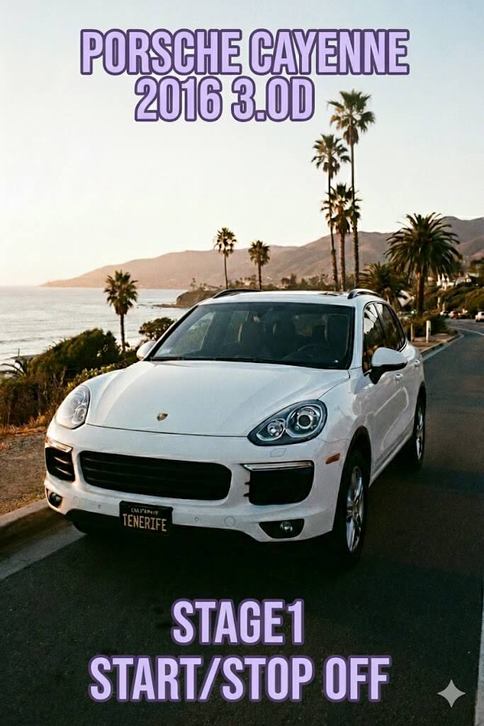 Чип-тюнинг Cayenne